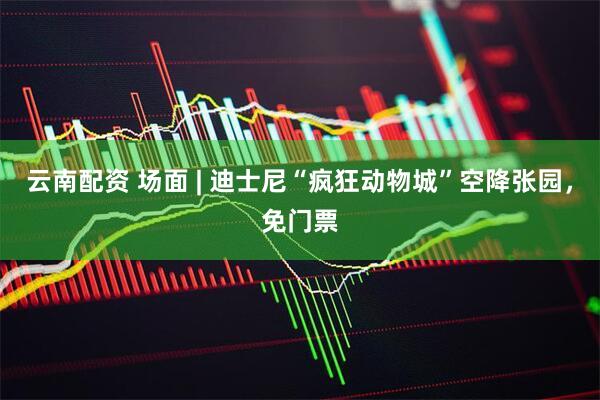 云南配资 场面 | 迪士尼“疯狂动物城”空降张园，免门票