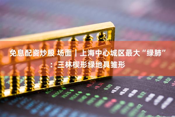 免息配资炒股 场面｜上海中心城区最大“绿肺”：三林楔形绿地具雏形