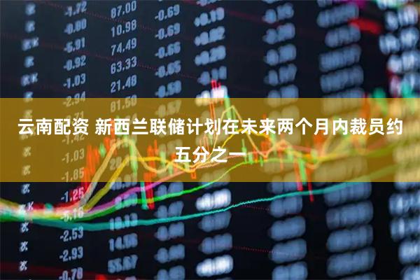 云南配资 新西兰联储计划在未来两个月内裁员约五分之一