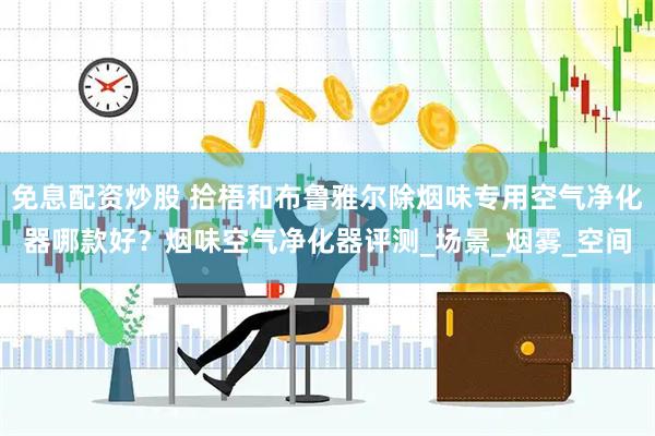 免息配资炒股 拾梧和布鲁雅尔除烟味专用空气净化器哪款好？烟味空气净化器评测_场景_烟雾_空间